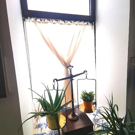 Charming Portuguese Style Apartment, For Rent Vida à Portuguesa, Fruta Or Polvo Local *