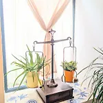 Charming Portuguese Style Apartment, For Rent Vida à Portuguesa, Fruta Or Polvo Local Appartamento