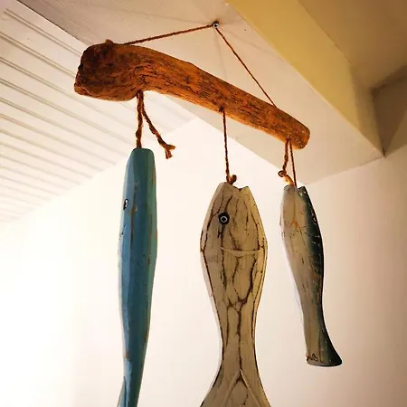 'fruta Or Polvo' Charming Portuguese Style For Rent 'vida A Portuguesa', Local Appartamento *