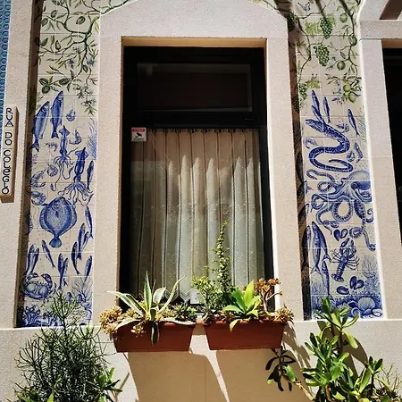 'fruta Or Polvo' Charming Portuguese Style For Rent 'vida A Portuguesa', Local Appartamento *