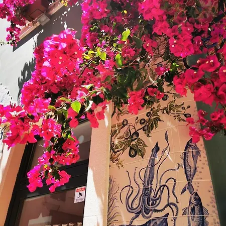 'fruta Or Polvo' Charming Portuguese Style For Rent 'vida A Portuguesa', Local *