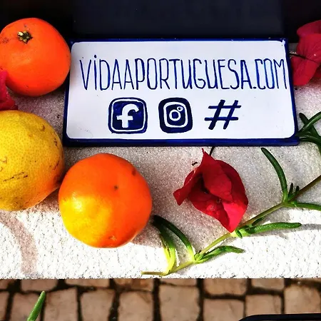 'fruta Or Polvo' Charming Portuguese Style For Rent 'vida A Portuguesa', Local Appartamento