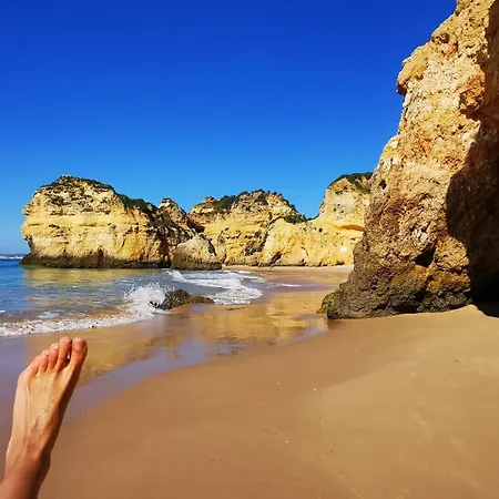 Fruta Ou Polvo, Vida à Portuguesa *