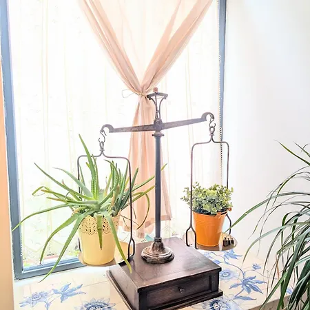 'fruta Or Polvo' Charming Portuguese Style For Rent 'vida A Portuguesa', Local Appartamento