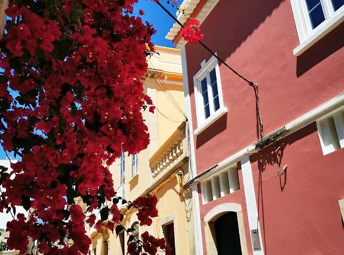 Charming Portuguese Style Apartment, For Rent Vida à Portuguesa, Fruta Or Polvo Local *