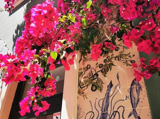 Charming Portuguese Style Apartment, For Rent Vida à Portuguesa, Fruta Or Polvo Local *